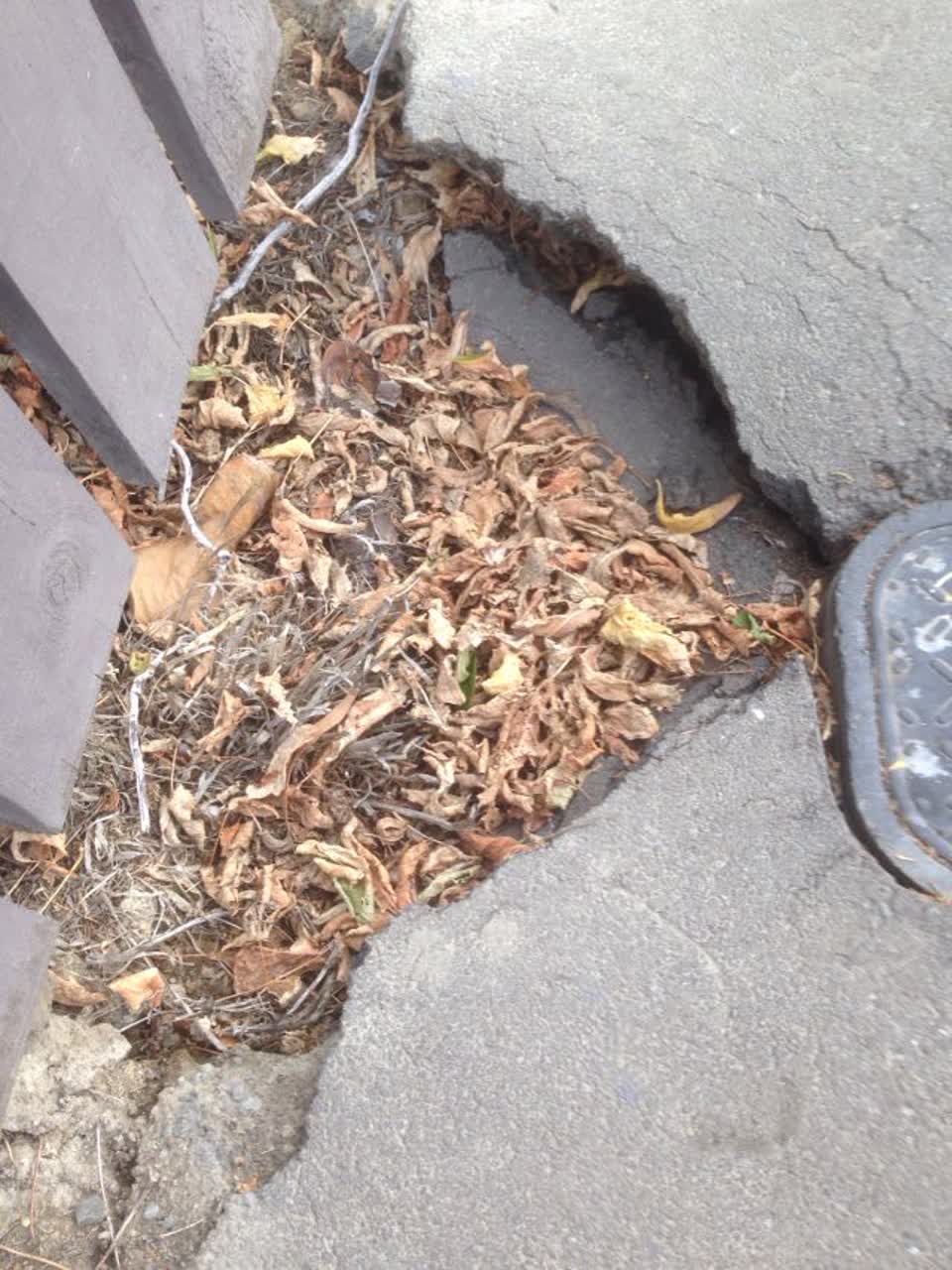 The photograph attached to this roading/streets report