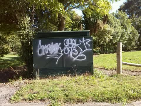 Graffiti, a report photo