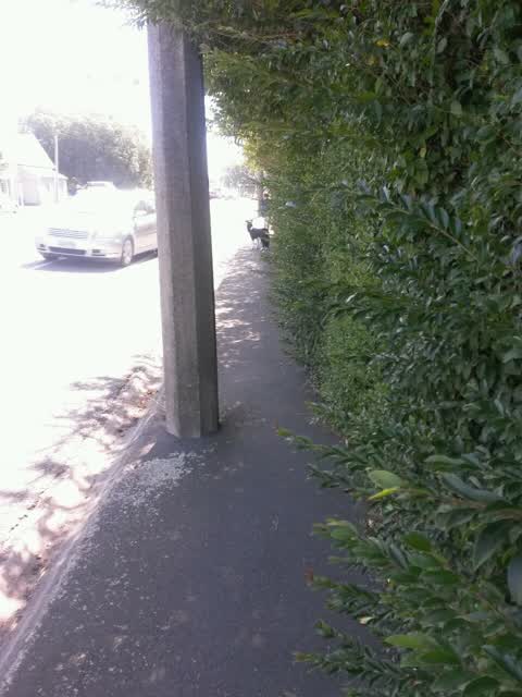 Roading/Streets, a report photo