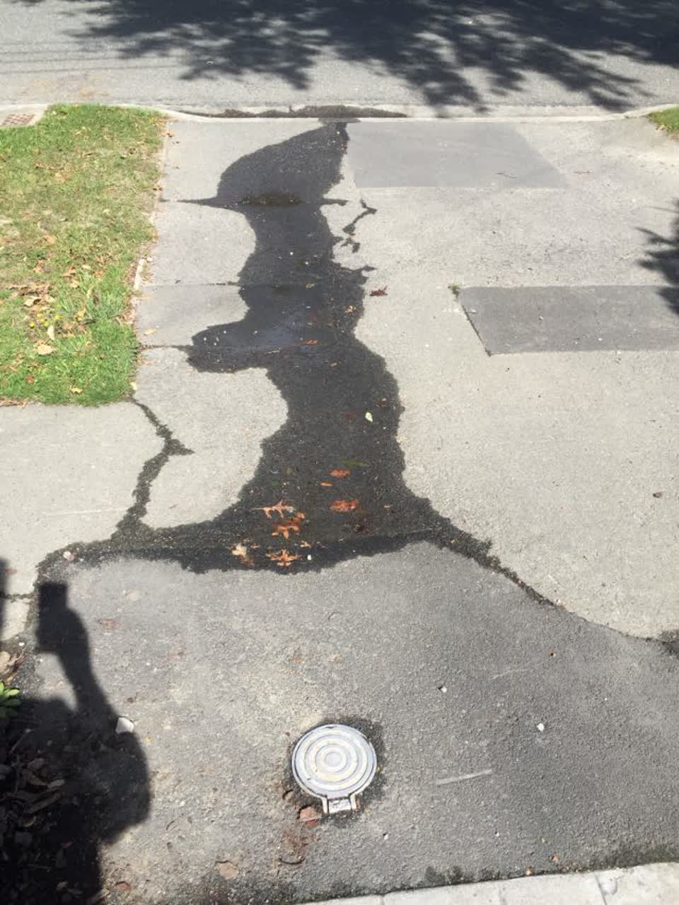 The photograph attached to this wastewater/stormwater report