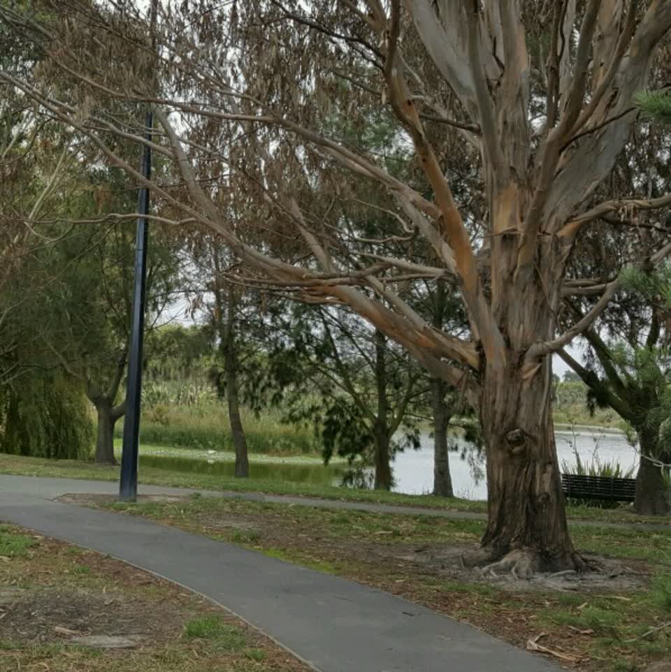 The photograph attached to this parks report