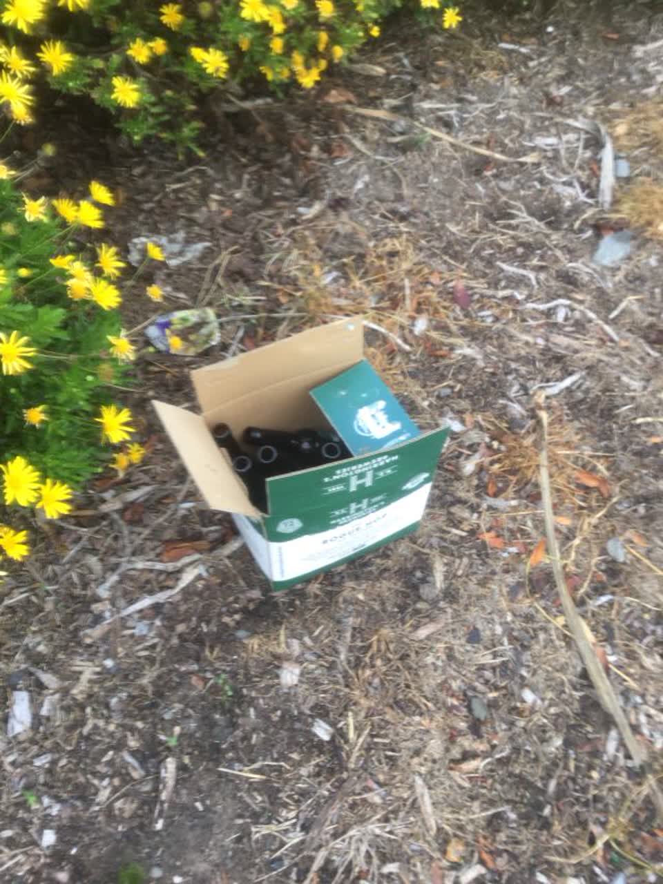 The photograph attached to this rubbish/recycling report