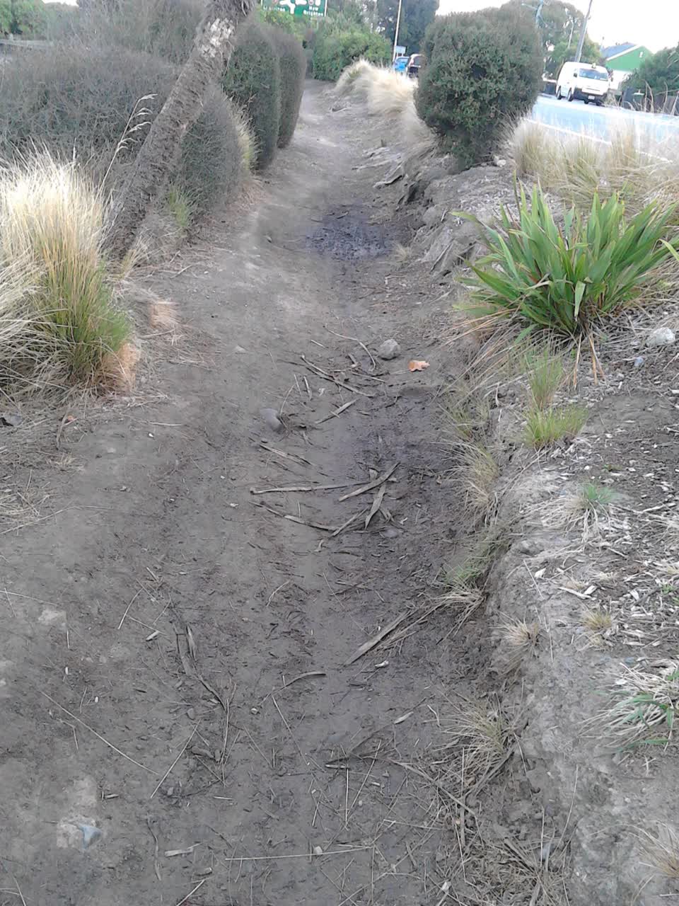 The photograph attached to this parks report