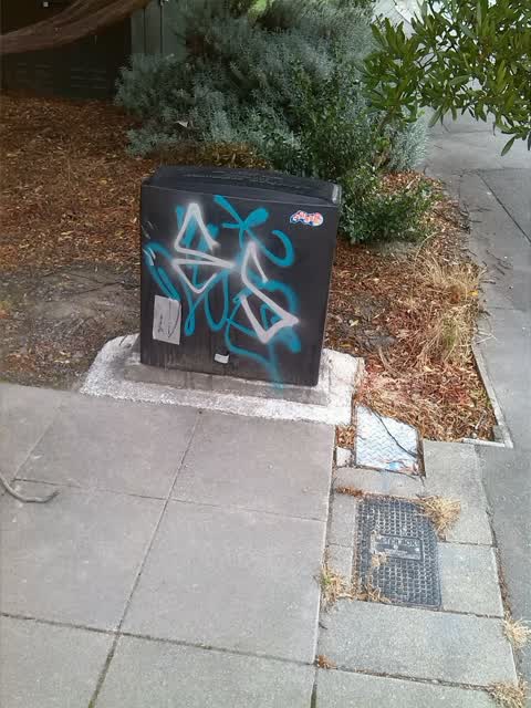 Graffiti, a report photo