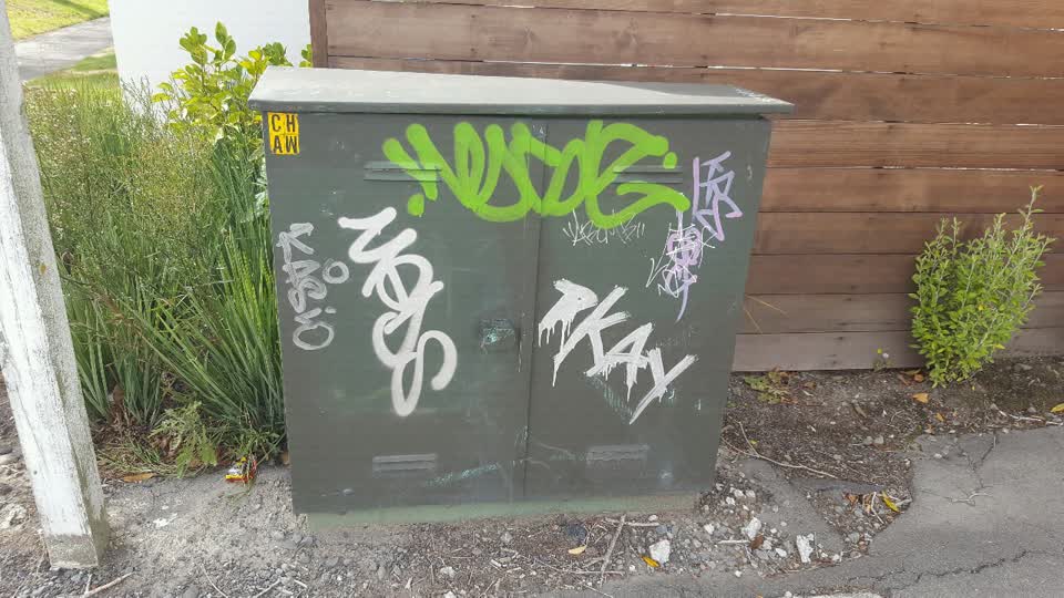 The photograph attached to this graffiti report