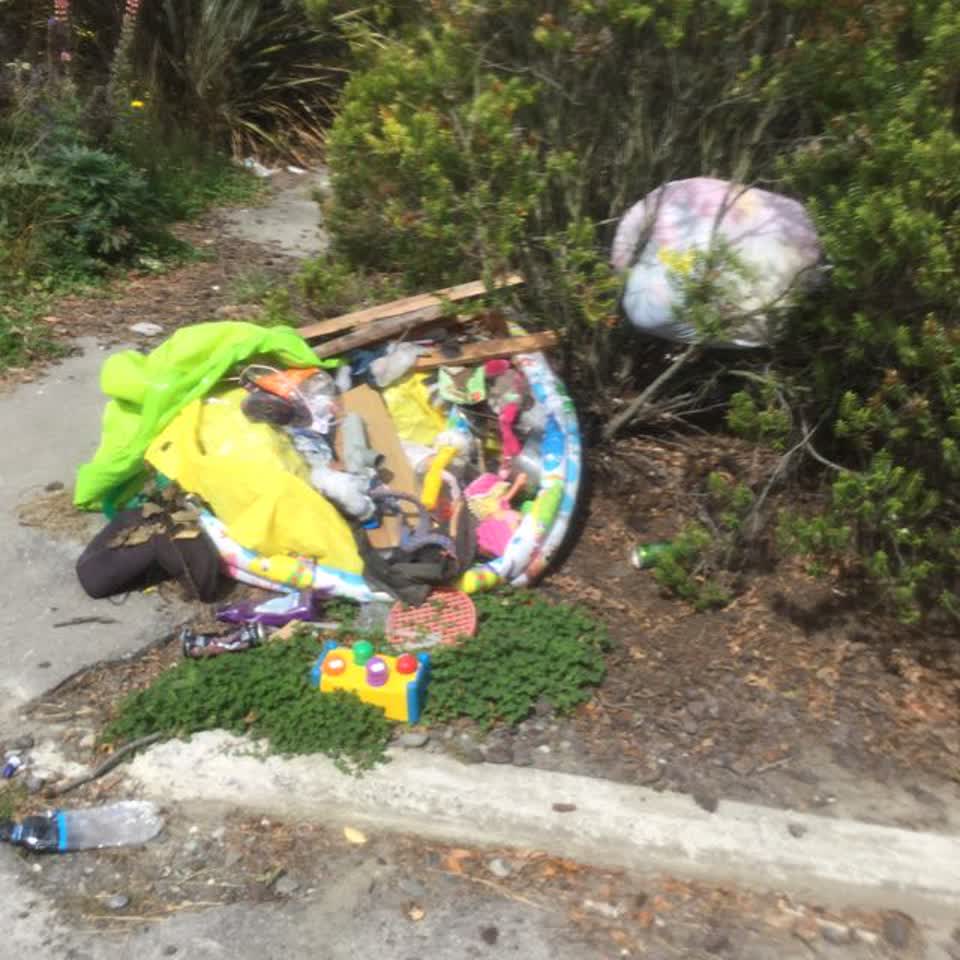 The photograph attached to this rubbish/recycling report