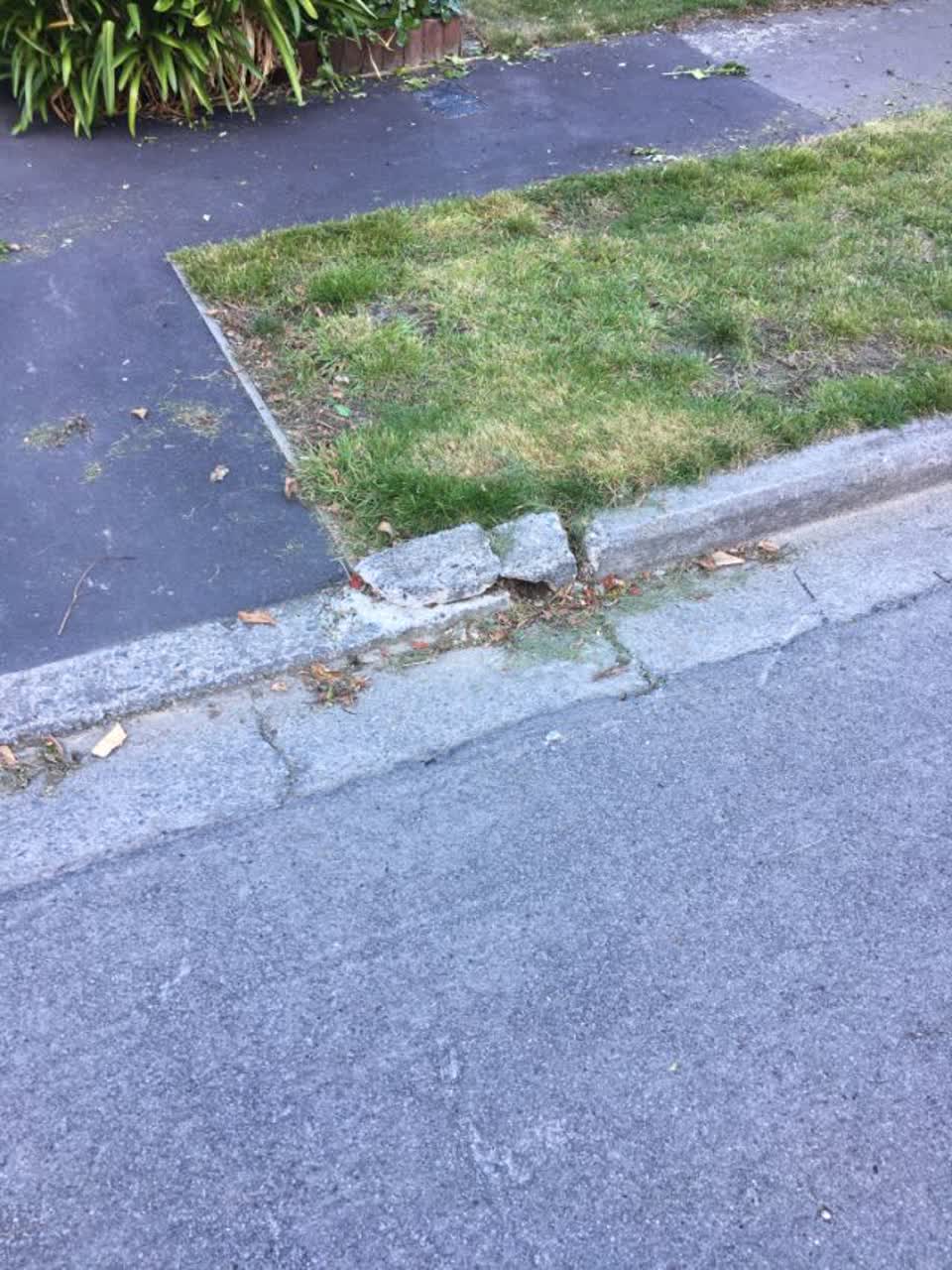The photograph attached to this roading/streets report