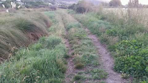 Parks, a report photo