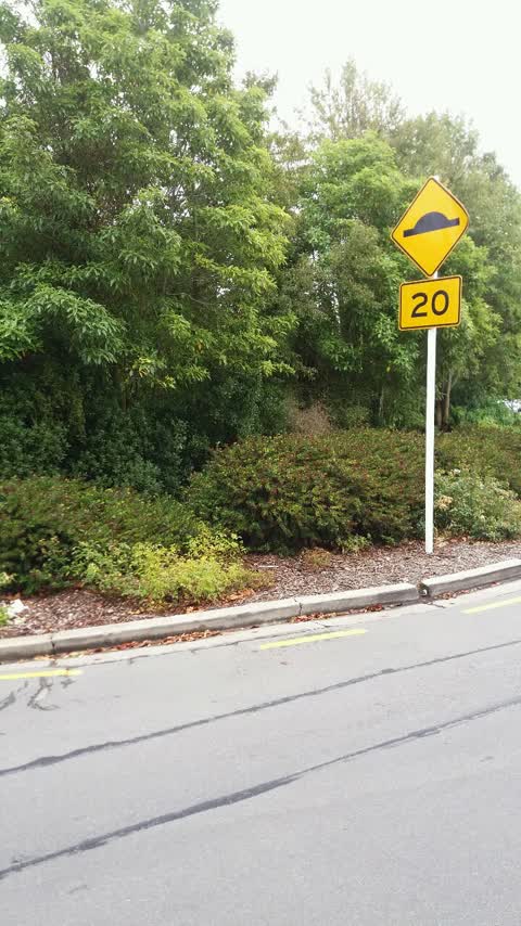 Roading/Streets, a report photo