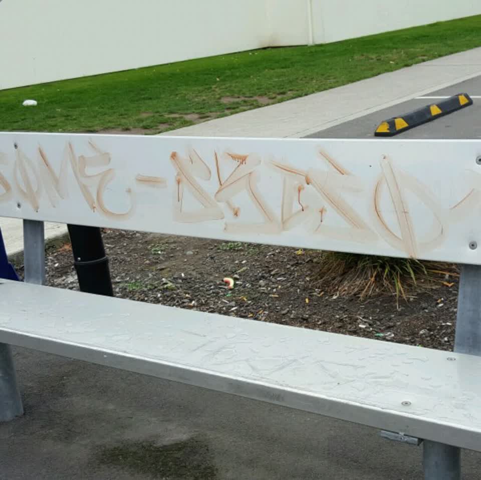 The photograph attached to this graffiti report