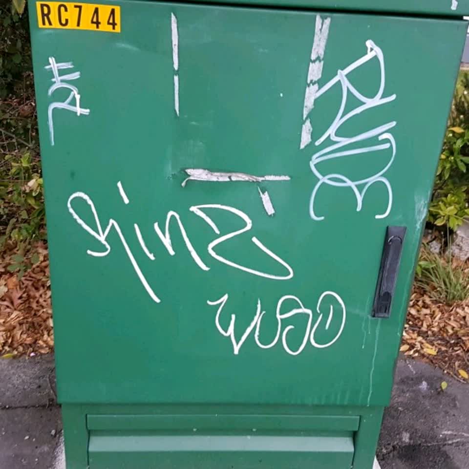 The photograph attached to this graffiti report