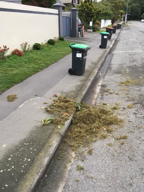 Rubbish/Recycling, a report photo