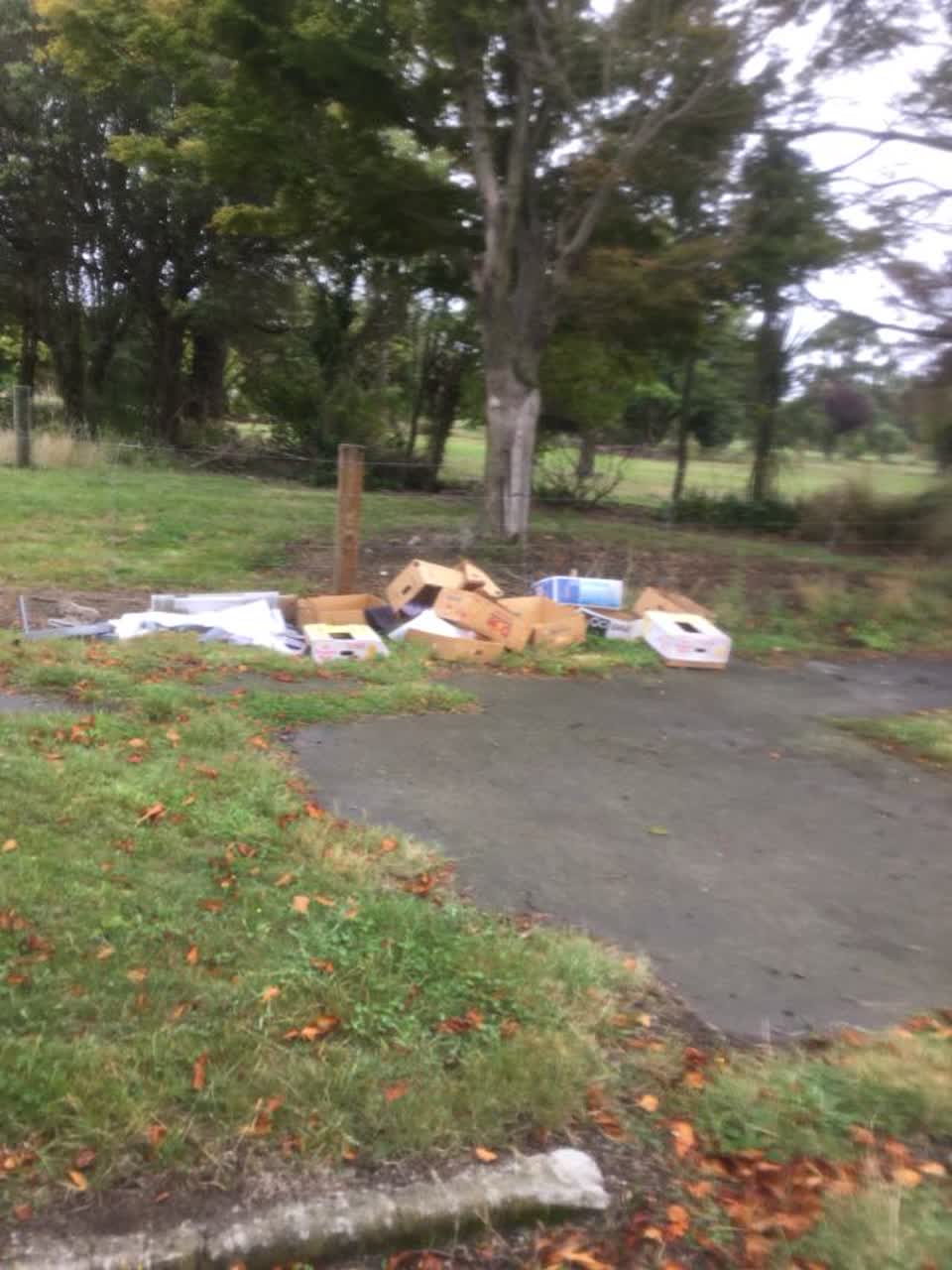 The photograph attached to this rubbish/recycling report