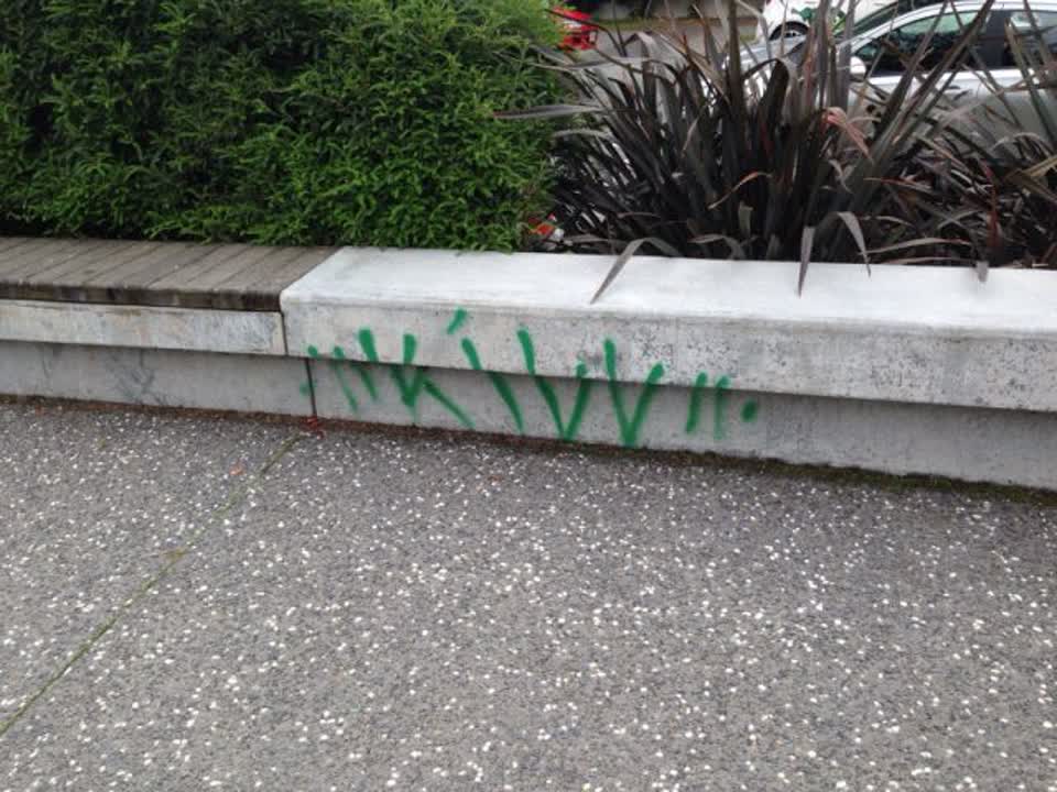 The photograph attached to this graffiti report