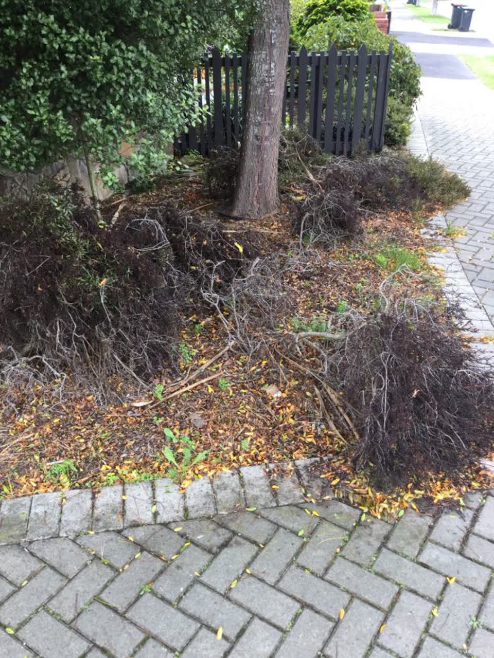 The photograph attached to this parks report