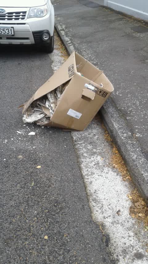 Rubbish/Recycling, a report photo