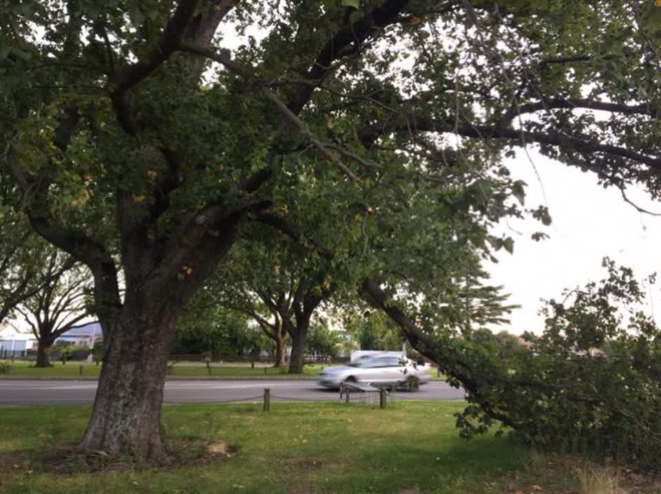 The photograph attached to this parks report