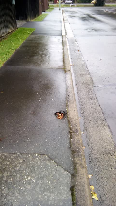 Roading/Streets, a report photo