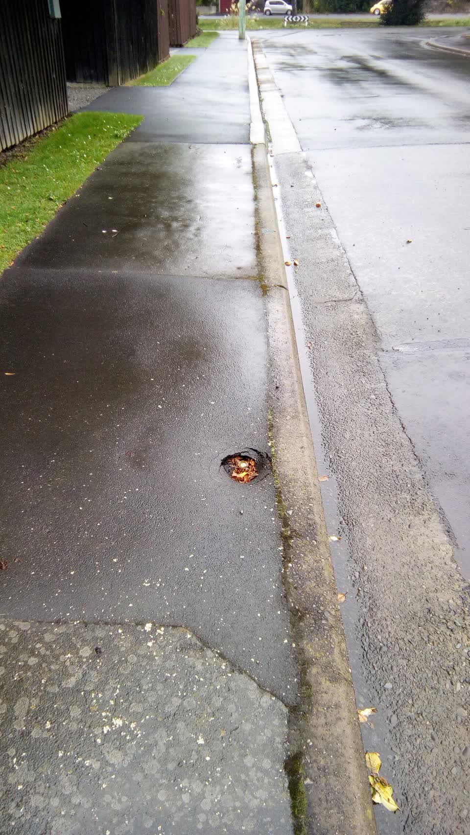 The photograph attached to this roading/streets report