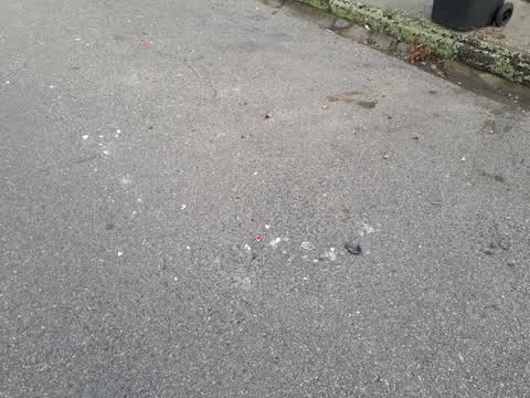 Rubbish/Recycling, a report photo