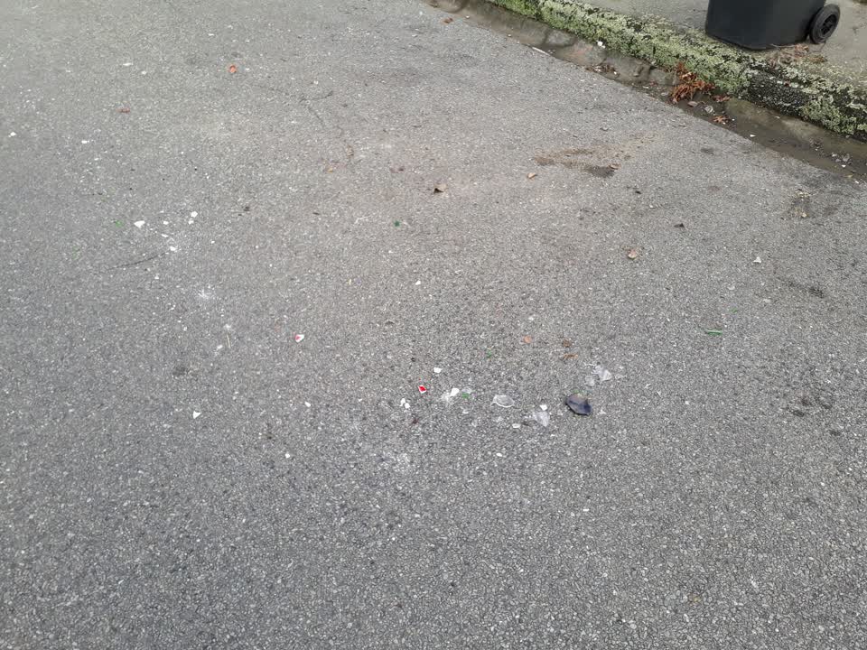 The photograph attached to this rubbish/recycling report