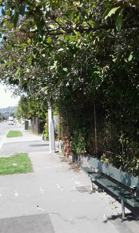 Roading/Streets, a report photo