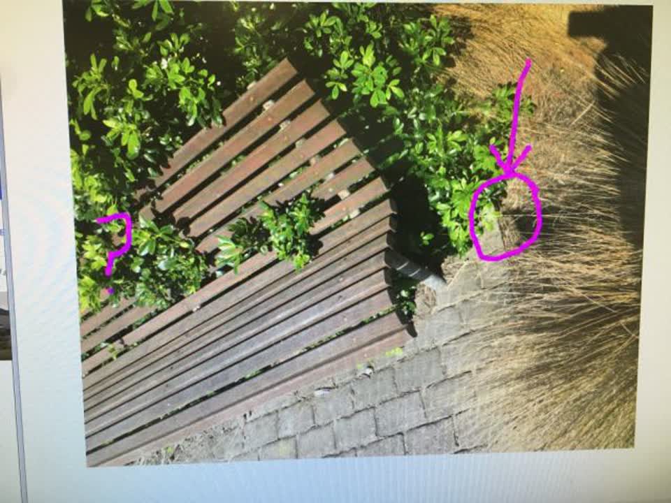 The photograph attached to this parks report