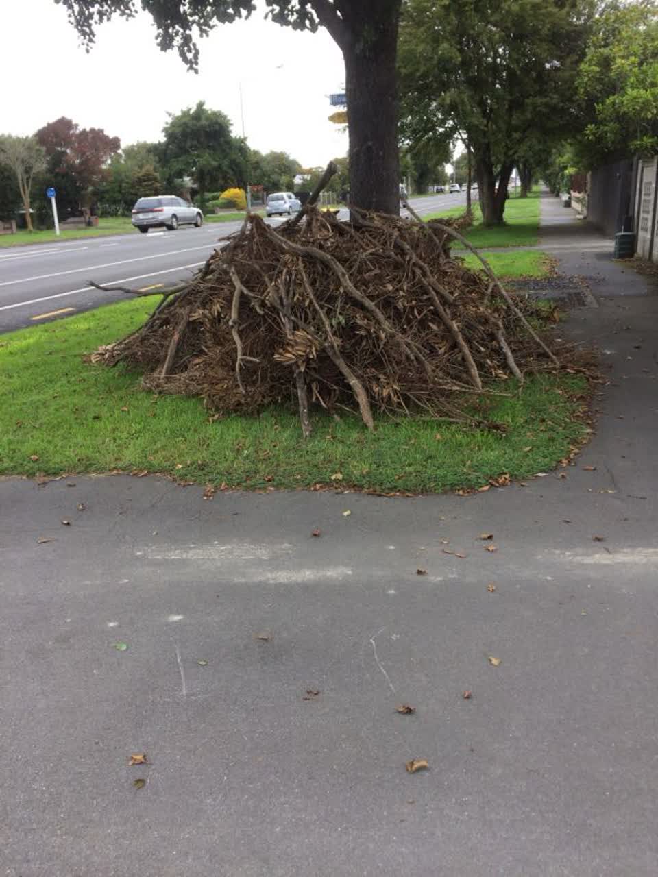 The photograph attached to this rubbish/recycling report