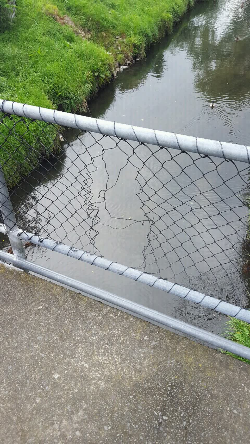 The photograph attached to this parks report