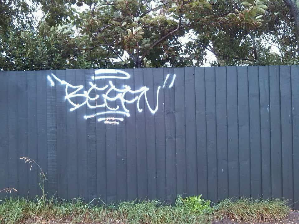 The photograph attached to this graffiti report