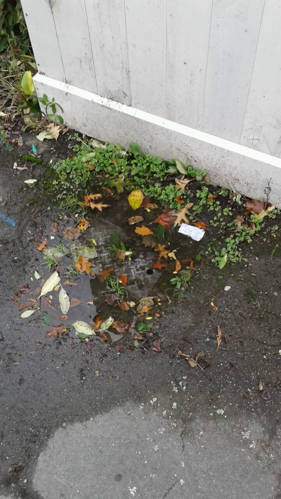 The photograph attached to this water supply report