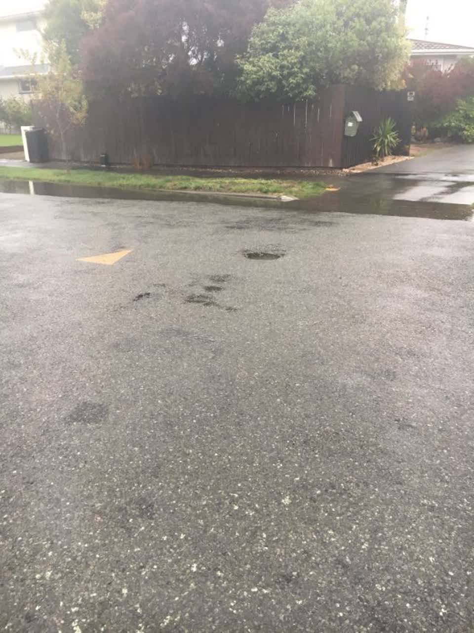 The photograph attached to this roading/streets report