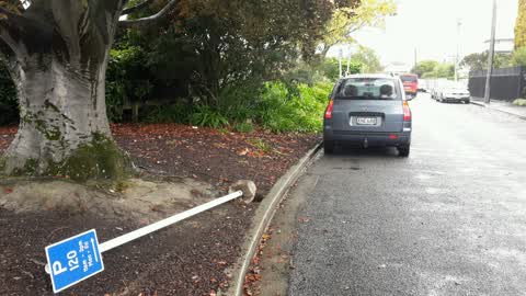 Roading/Streets, a report photo