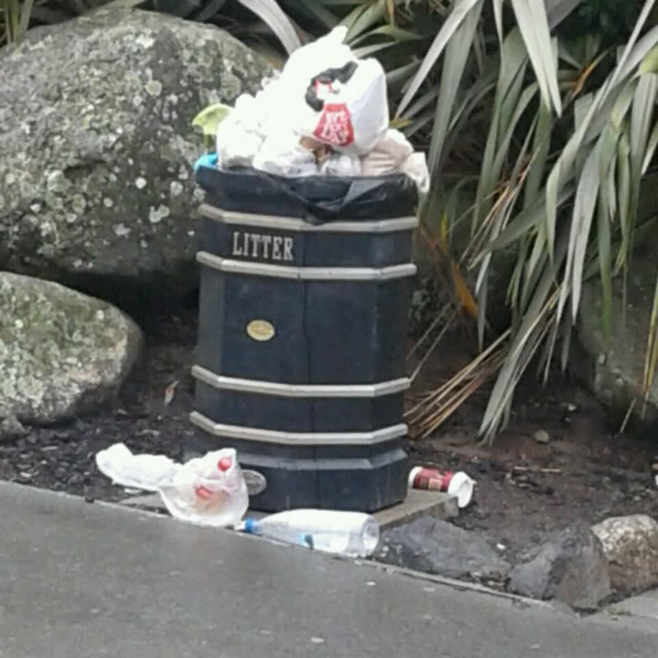 The photograph attached to this rubbish/recycling report