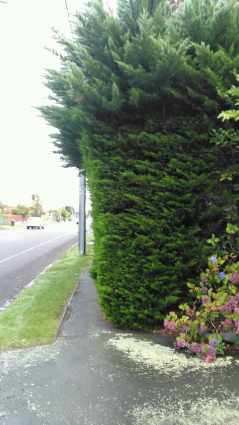 Roading/Streets, a report photo