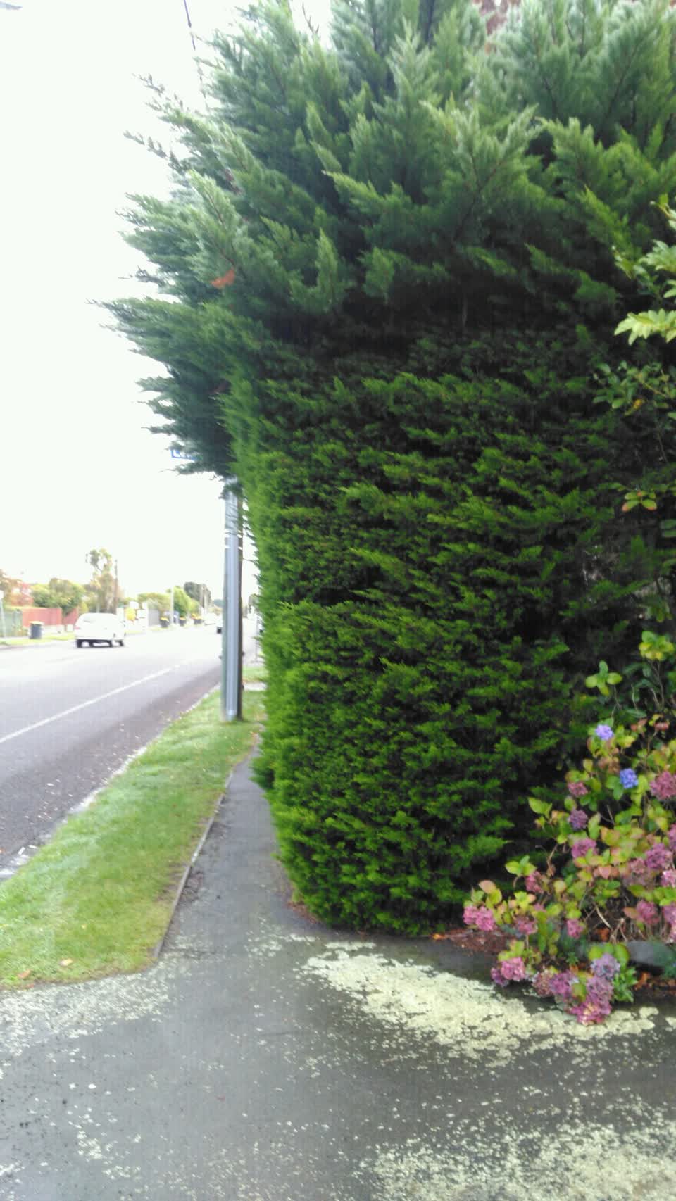 The photograph attached to this roading/streets report