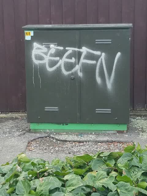 Graffiti, a report photo