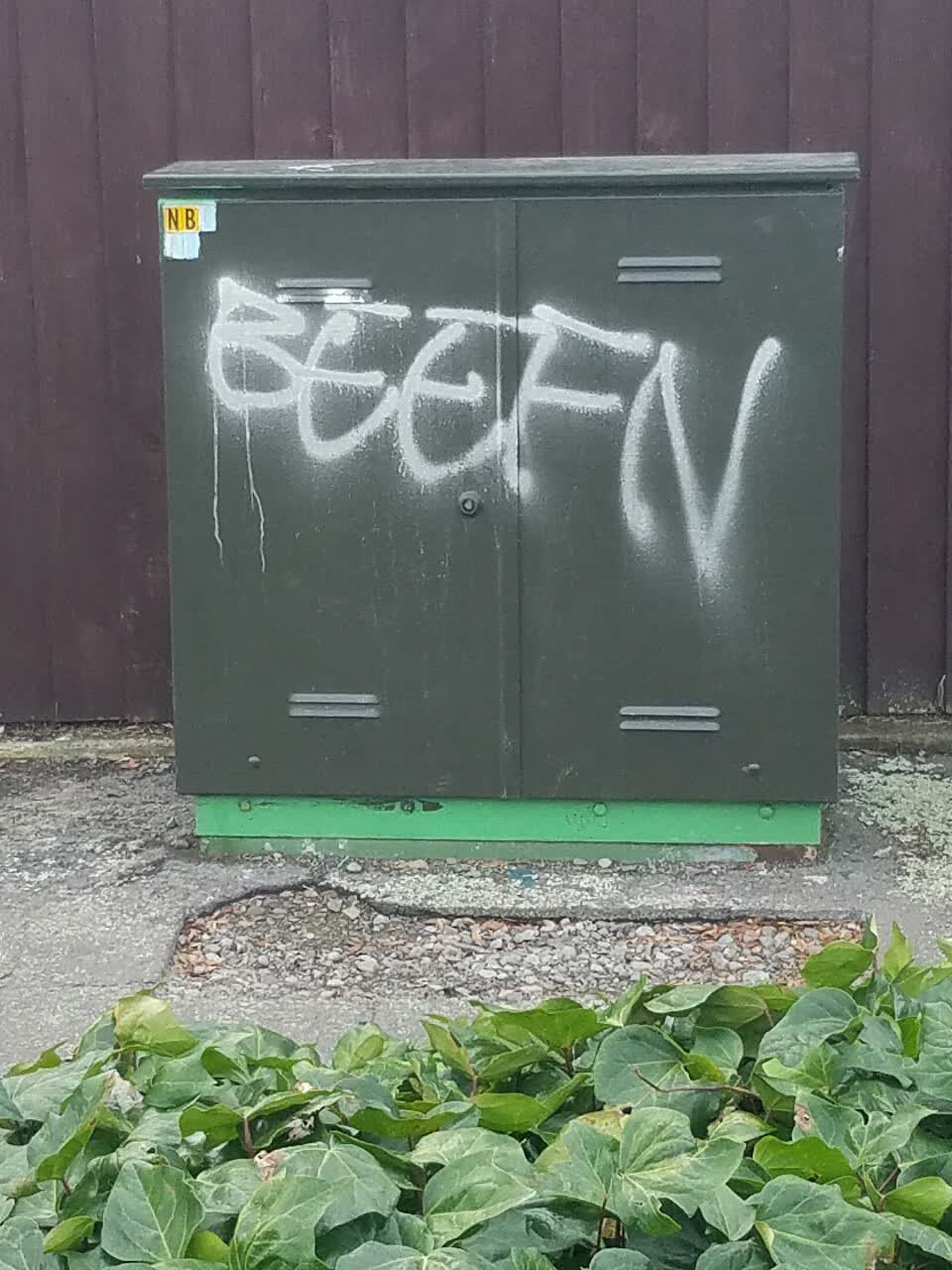 The photograph attached to this graffiti report