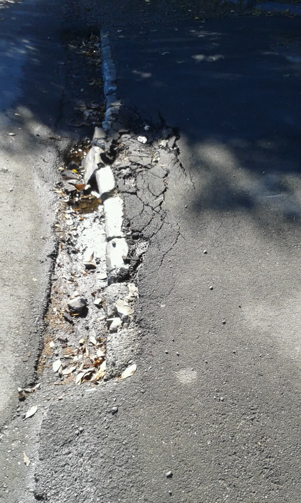 The photograph attached to this roading/streets report