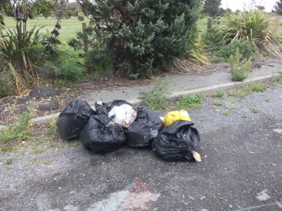 The photograph attached to this rubbish/recycling report