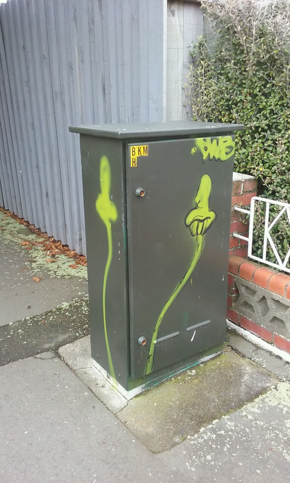 The photograph attached to this graffiti report