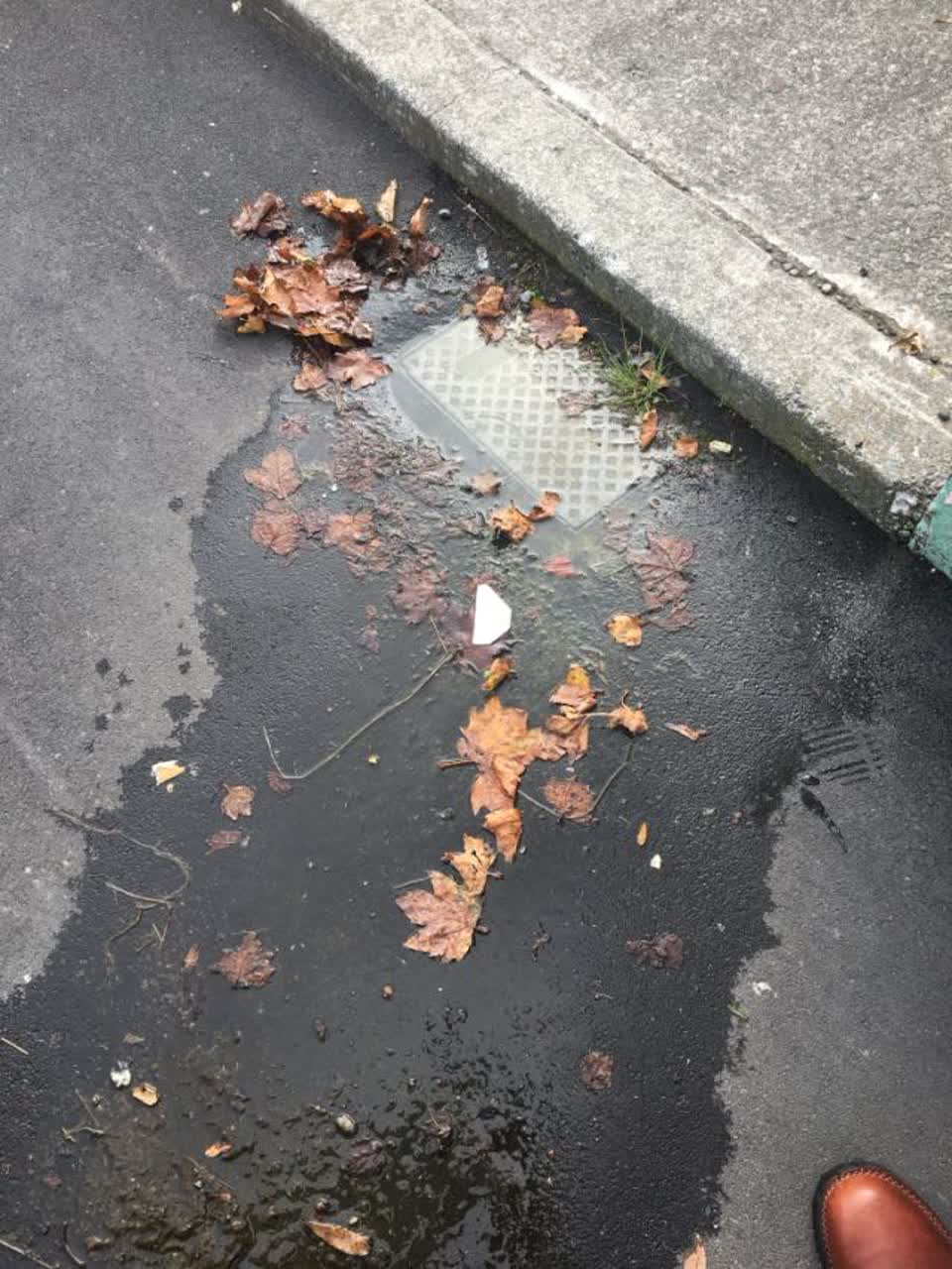 The photograph attached to this water supply report