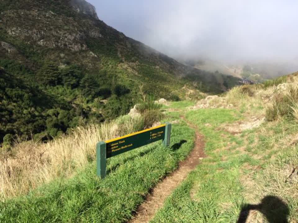 The photograph attached to this parks report