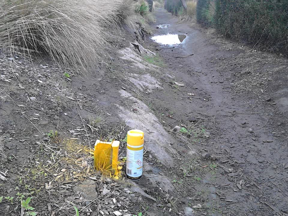 The photograph attached to this parks report