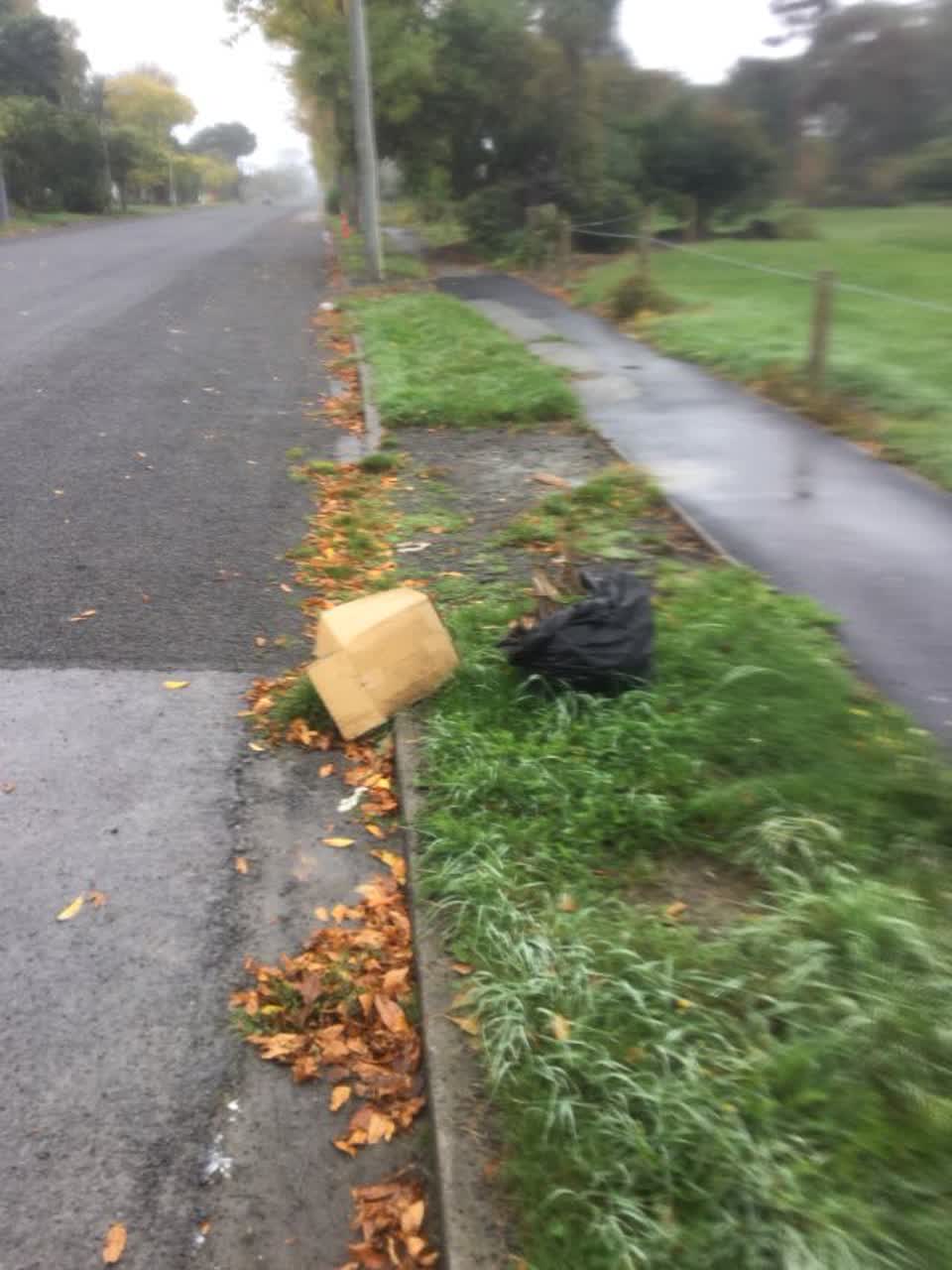The photograph attached to this rubbish/recycling report