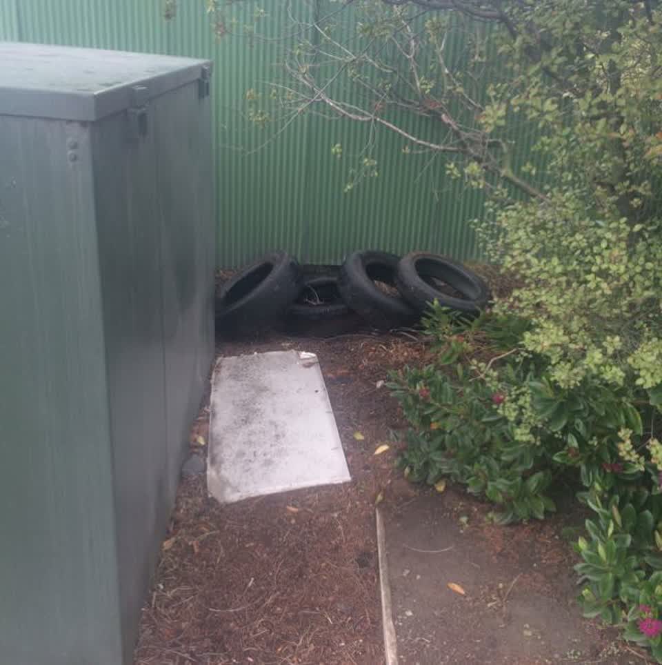 The photograph attached to this parks report
