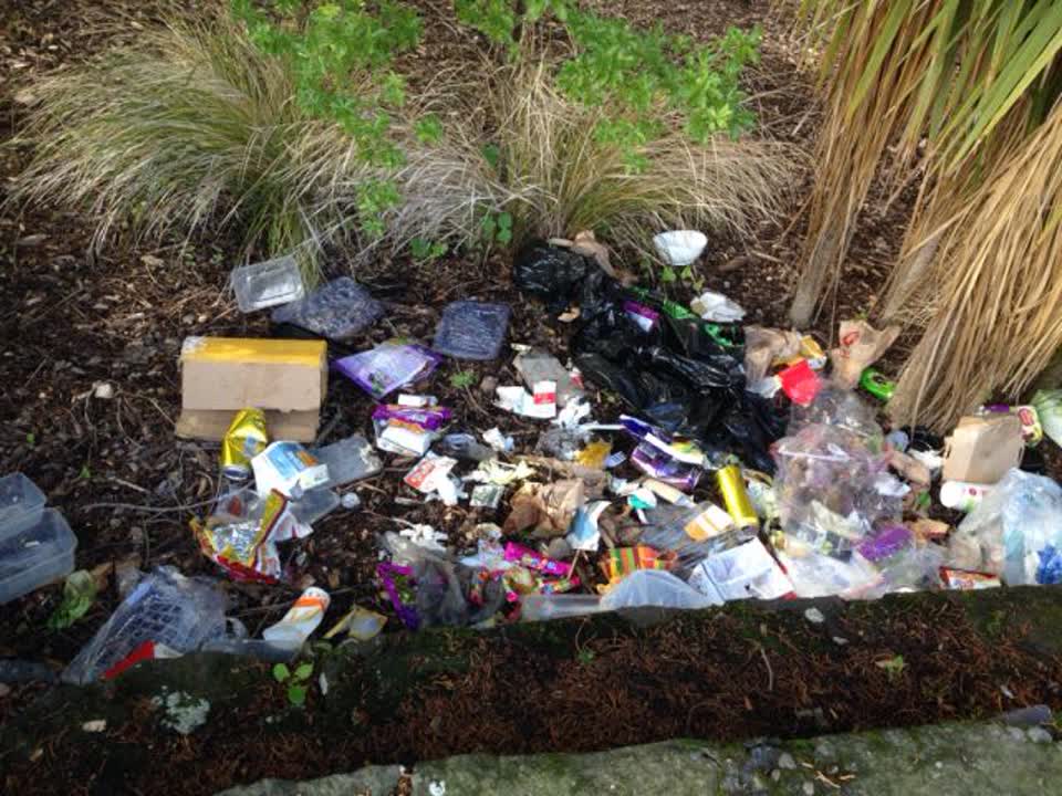 The photograph attached to this parks report
