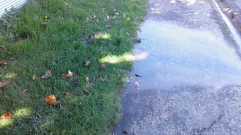 Water Supply, a report photo