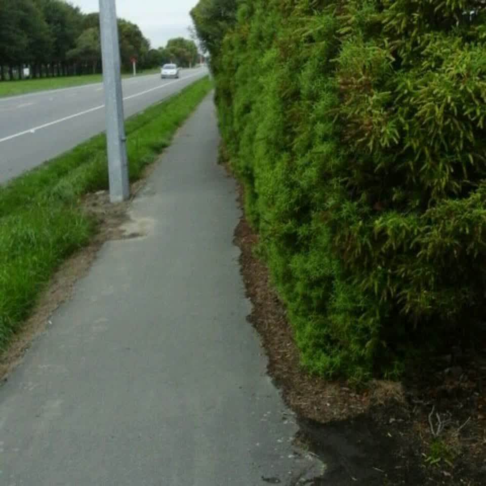 The photograph attached to this roading/streets report