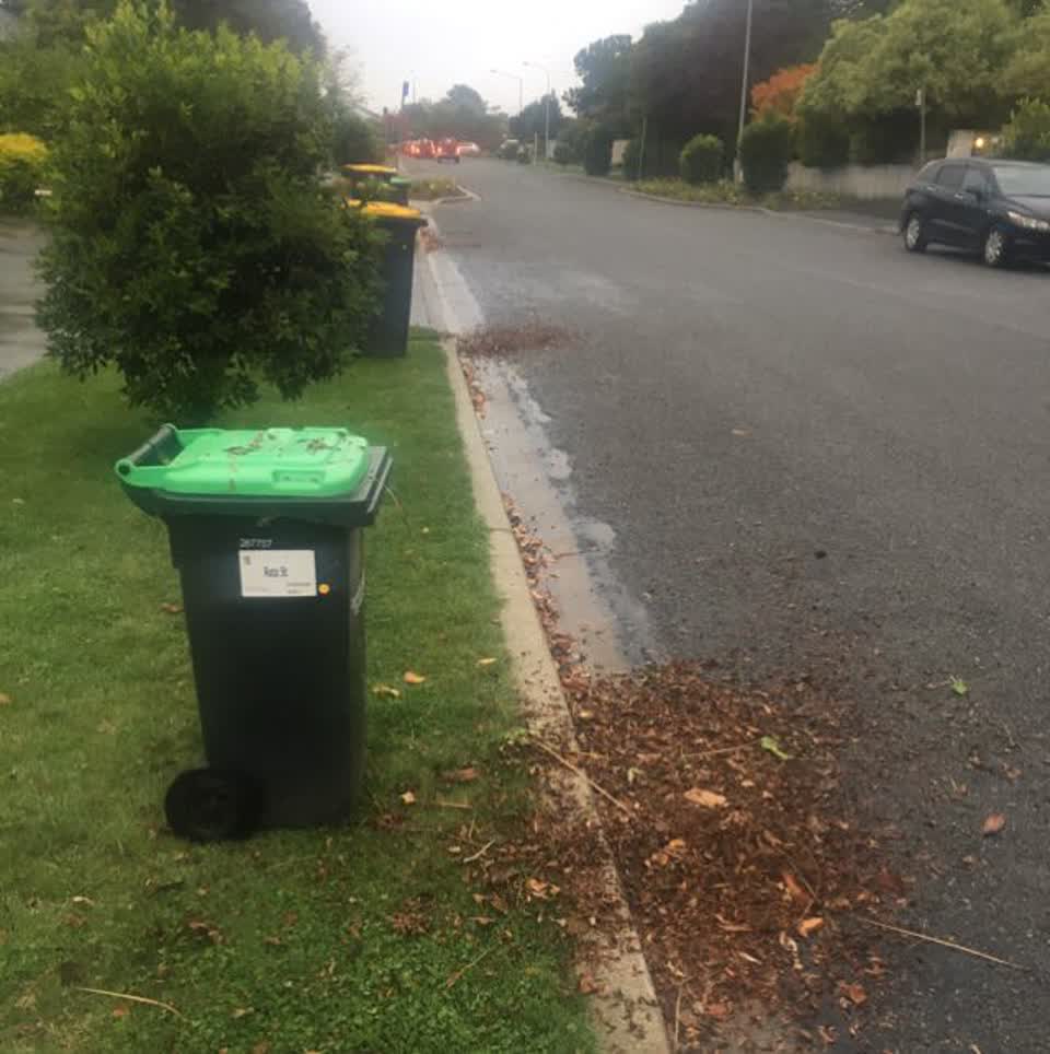 The photograph attached to this rubbish/recycling report